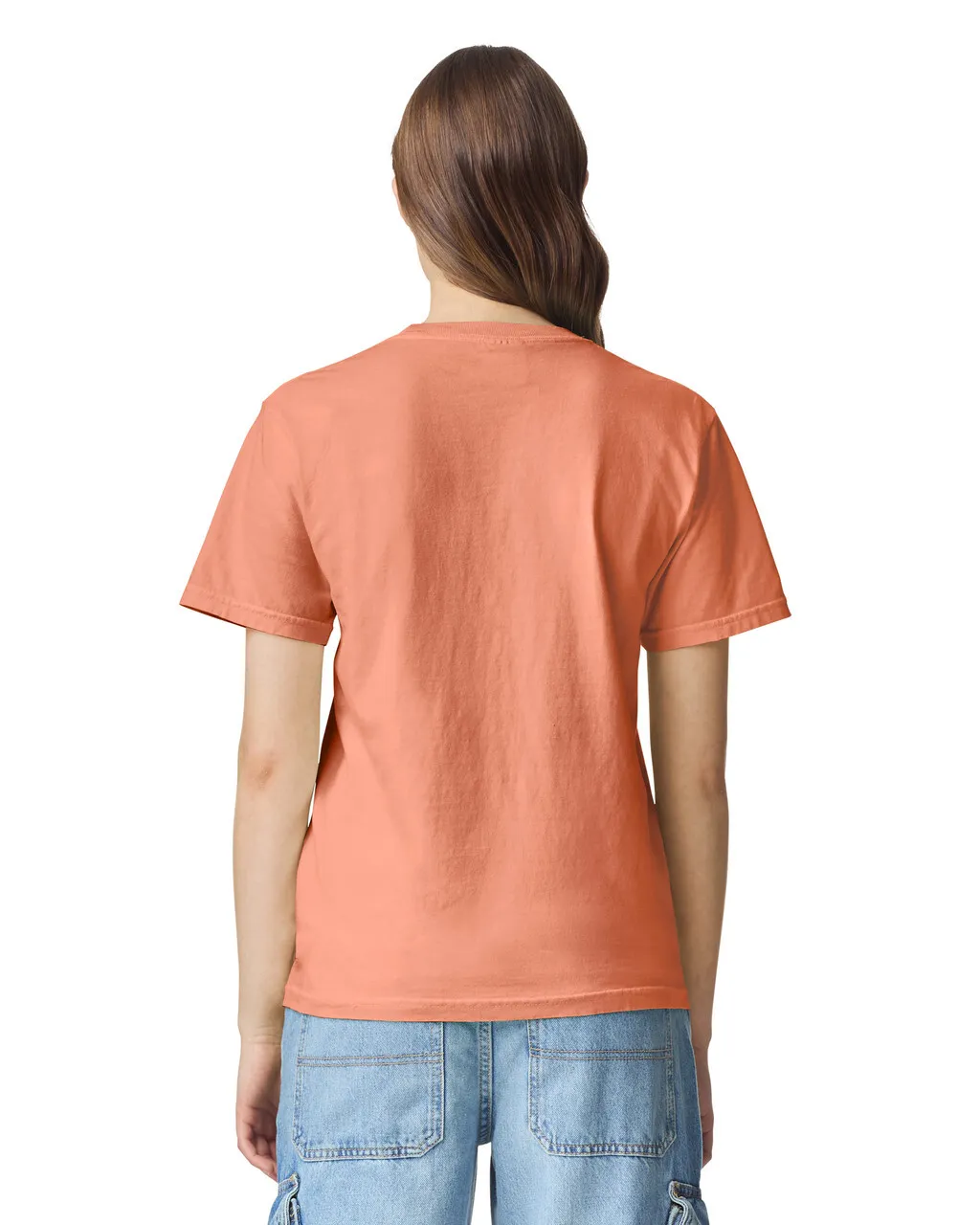 Comfort Colors(コンフォートカラーズ)cc1717 6.1ozガーメントダイ Tシャツ(back)