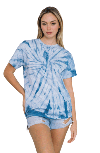 colortone(カラートーン)スパイダーTシャツmain